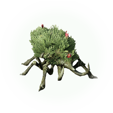 Bush Thicket Beetle - Database (360x360), Png Download