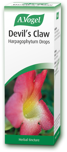 Vogel Devil's Claw Tincture - Vogel Hypericum (256x500), Png Download