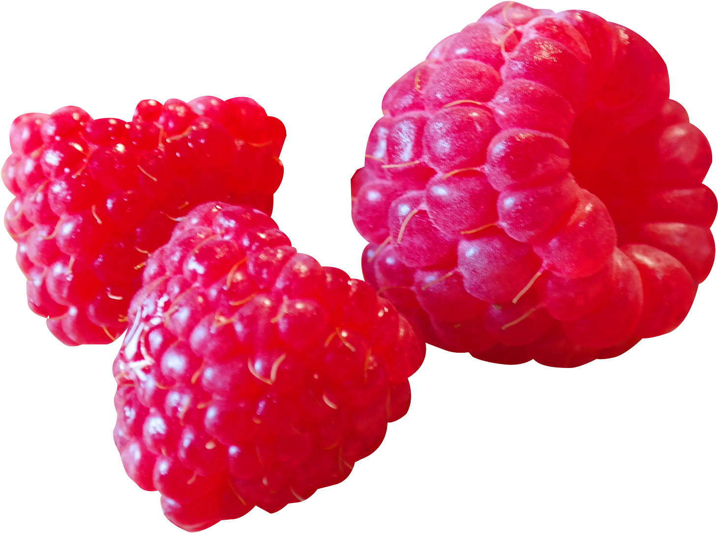 Raspberry (1625x1261), Png Download