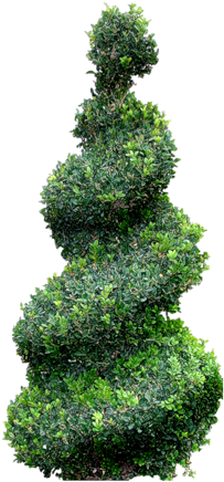 Zielono I Wiosennie - Clip Art (274x500), Png Download