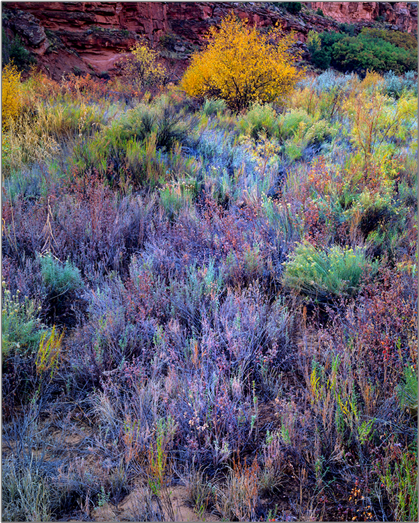 Desert Palate - Palate (480x480), Png Download