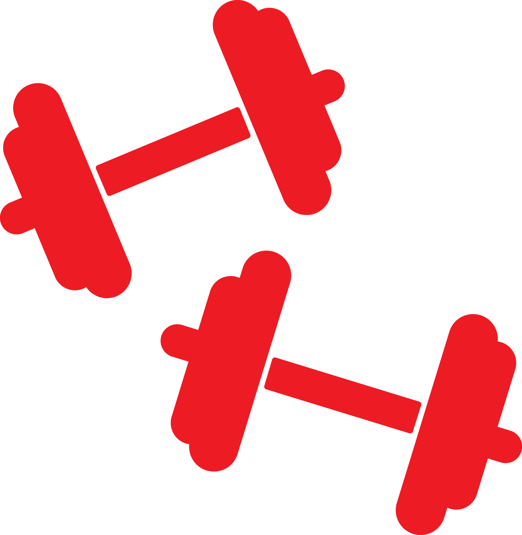 The Sky Family Ymca, Fort Myers, Englewood, Cape Coral - Ymca Weights (1757x1800), Png Download