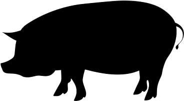 Pig Silhouette Png - Pork And Pinot (400x400), Png Download