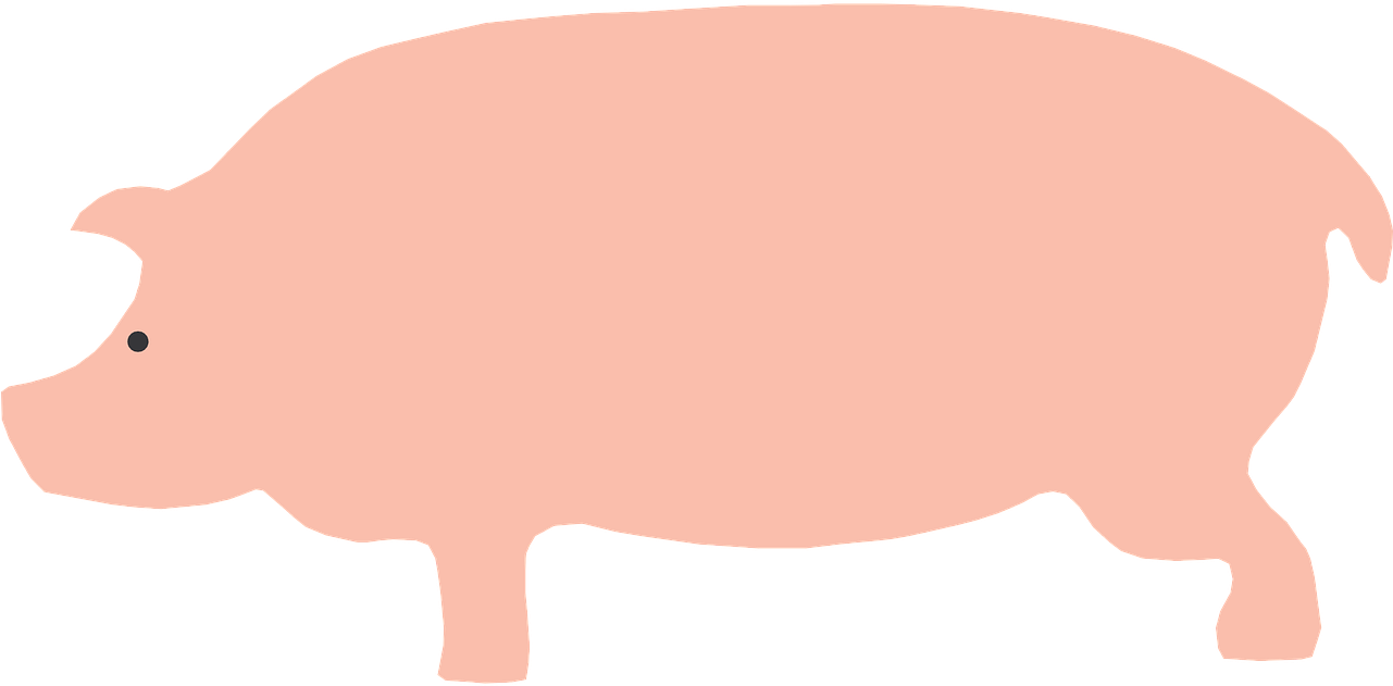 Pigs Drawing Side View - Cartoon Pig Side View (600x293), Png Download