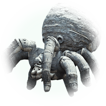 Big Bush Spider - Hand (360x360), Png Download