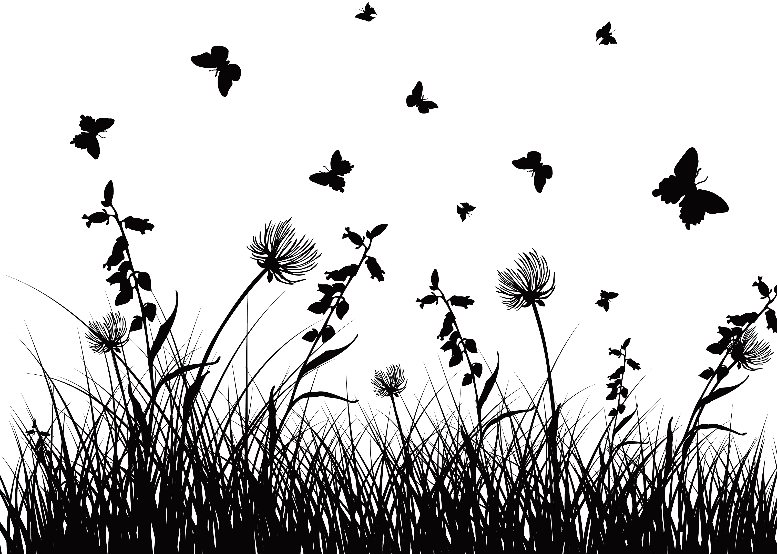 Free Free 297 Transparent Wildflower Svg Free SVG PNG EPS DXF File