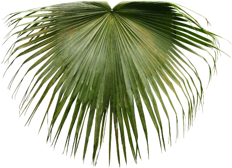 Portable Network Graphics (480x480), Png Download