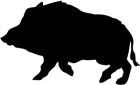 Metssiga - Wild Pig Silhouette Png (496x359), Png Download