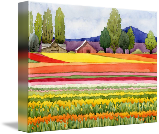 Tulip Fields By Kathy Johnson - Gallery-wrapped Canvas Art Print 15 X 11 Entitled Tulip (650x548), Png Download