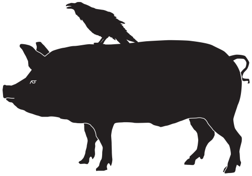 Picture Transparent Download At Getdrawings Com Free - Pig Silhouette Png (500x500), Png Download