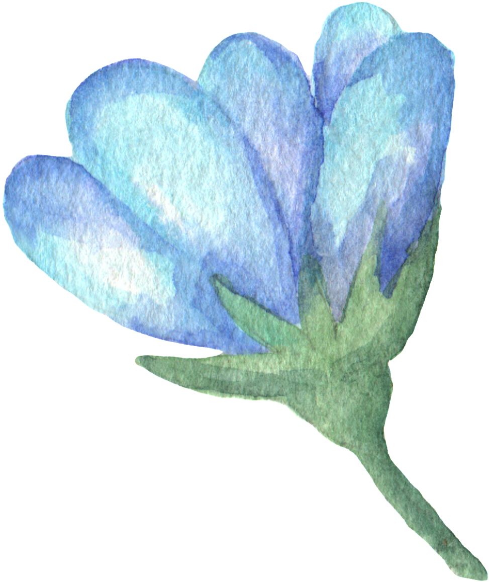 Crystal Blue Petals Transparent Decorative - Gentiana (1024x1209), Png Download