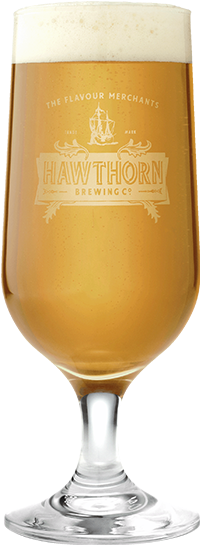 Hawthorn Beer Glass - Beer Glass (318x746), Png Download