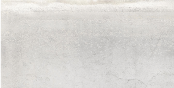 Sedici White - Portable Network Graphics (800x589), Png Download