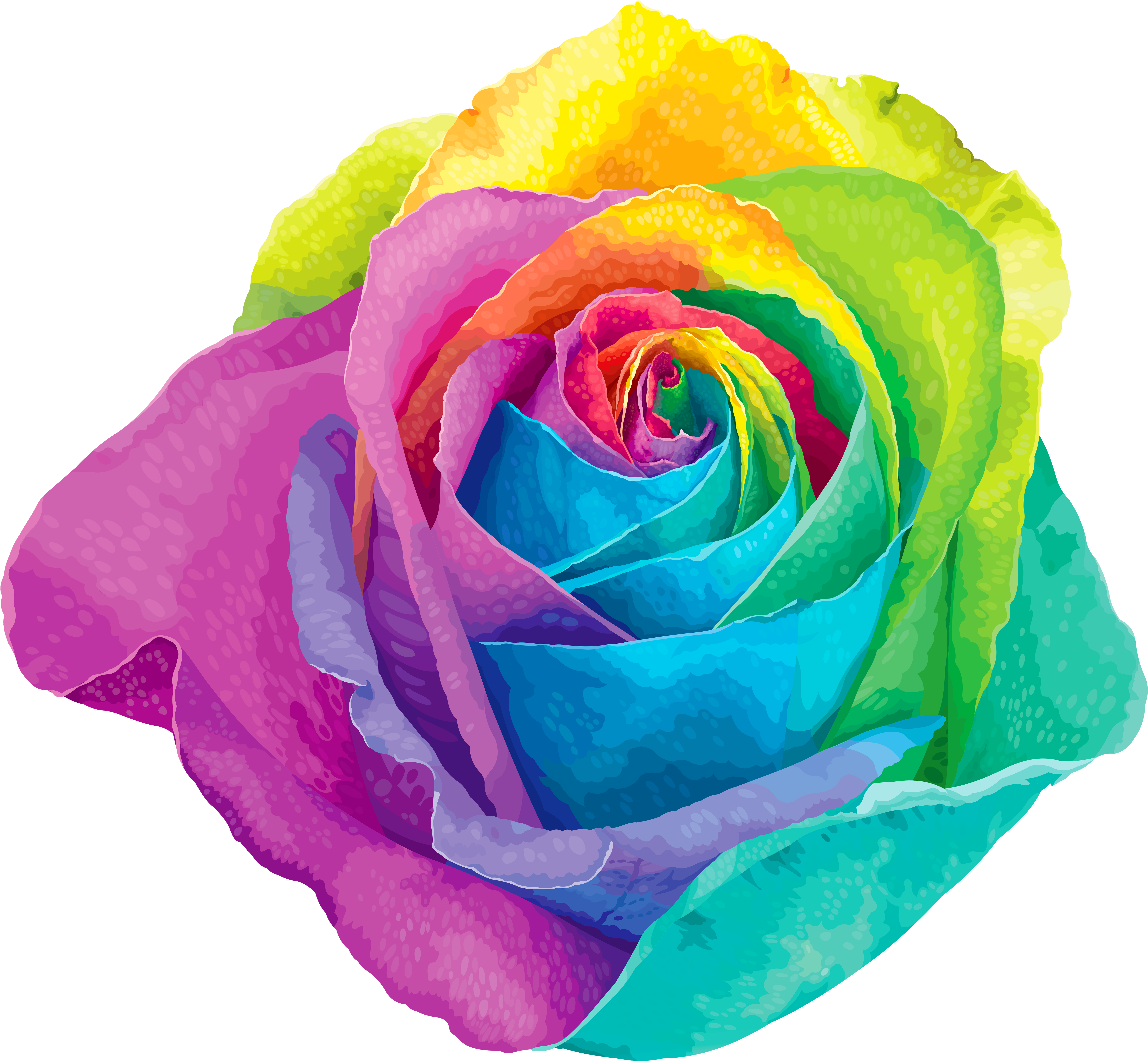 Multicolored Rainbow Rose Transparent Png Clip Art - Rainbow Flower Png (7000x6395), Png Download
