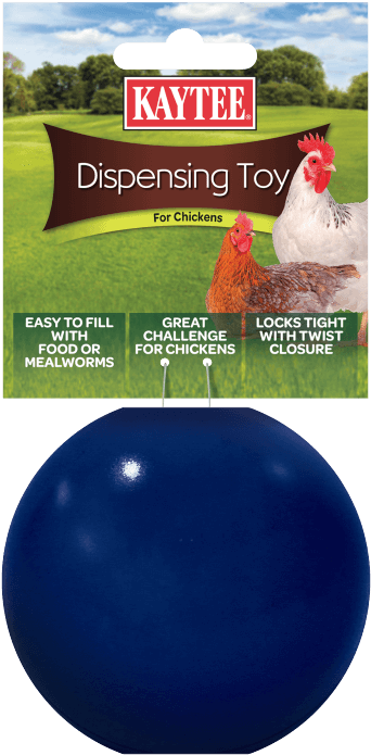 Previous - Kaytee Chicken Treat Dispensing Toy, Colors Vary (750x750), Png Download