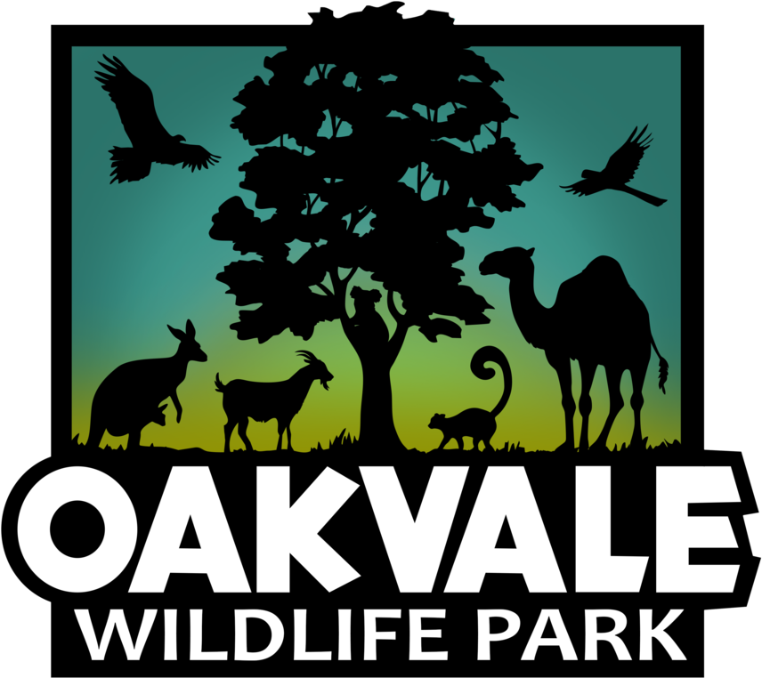 Oakvale Wildlife Park - Oakvale Farm (1000x1000), Png Download