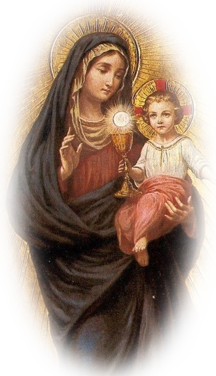 Our Lady Ark Of The Covenant - Our Lady Of The Blessed Sacrament (434x754), Png Download