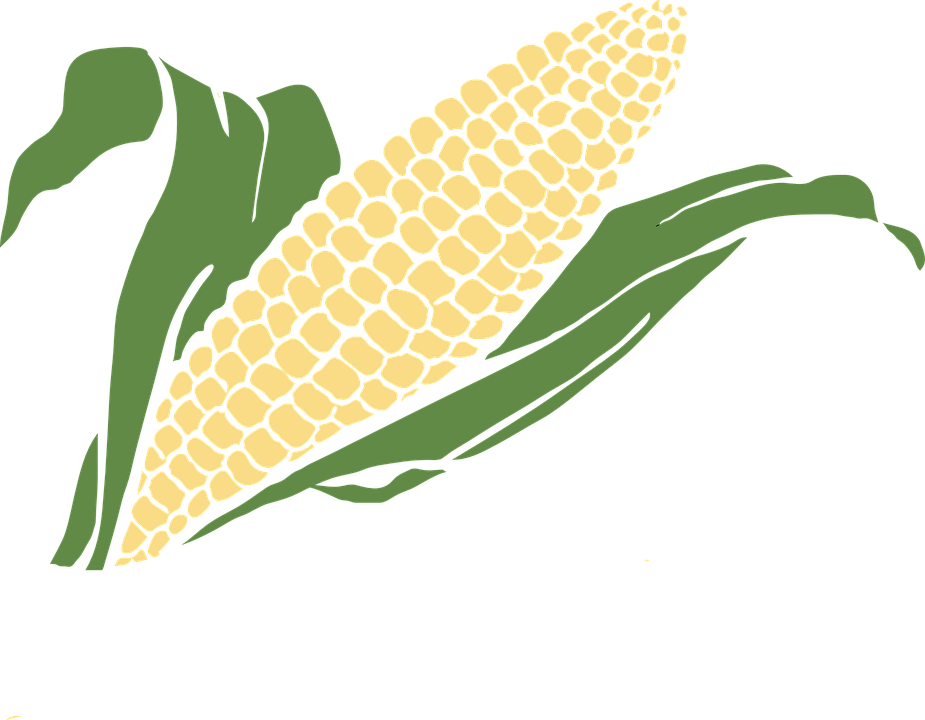 Corn Maize Vegetables - Corn Clipart (925x720), Png Download