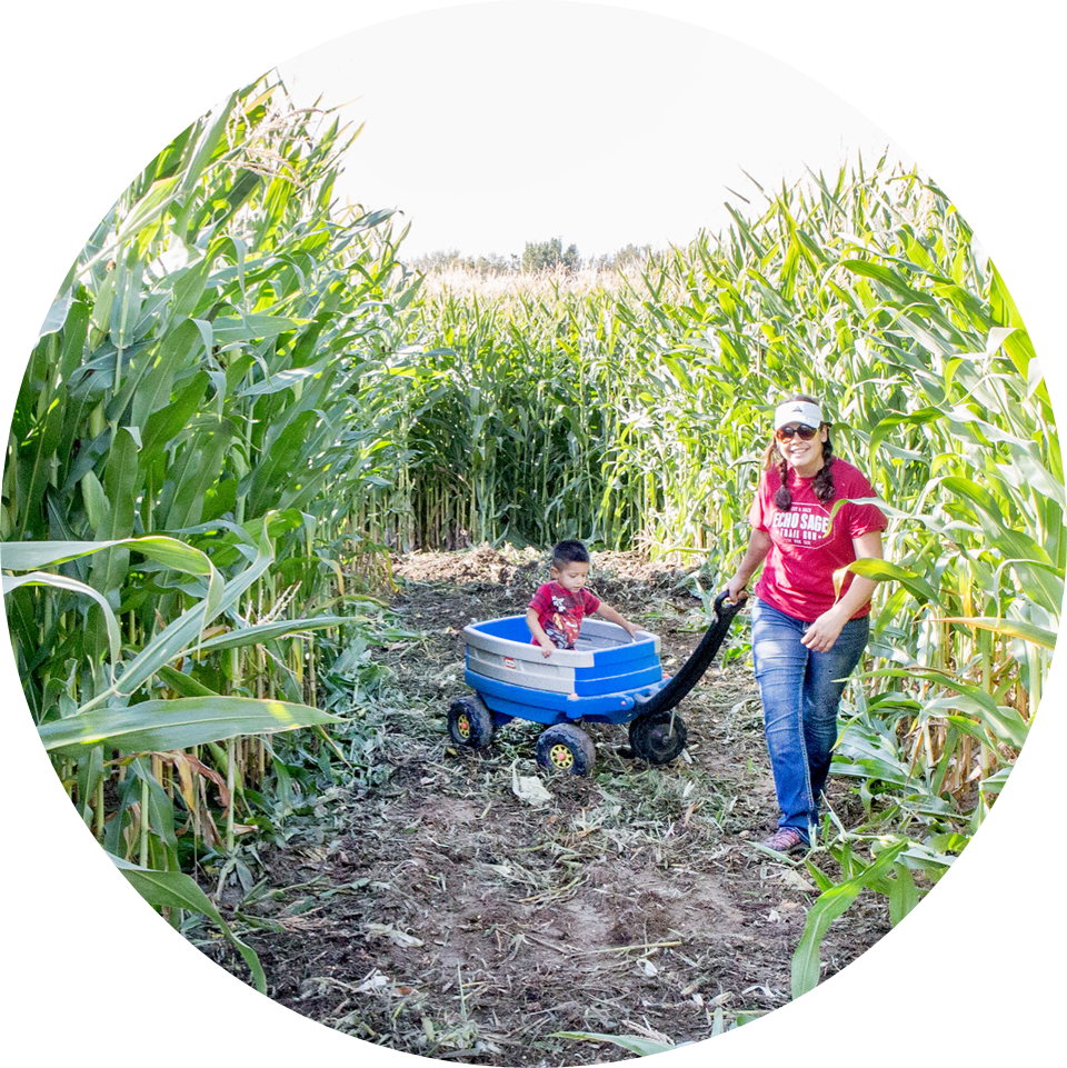 Grass (960x961), Png Download