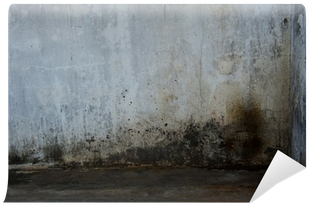 Plank (400x400), Png Download