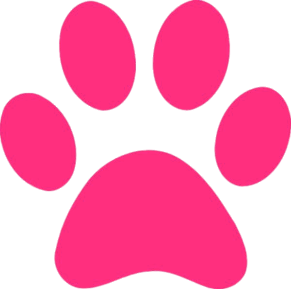 Download - Pink Paw Print Clipart (600x596), Png Download