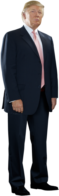 Donald Trump - Trump Time For Winning (320x728), Png Download