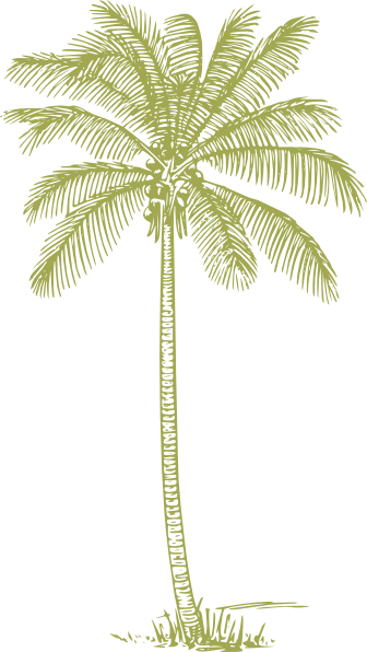Green Palm Tree Silhouette Png (336x596), Png Download