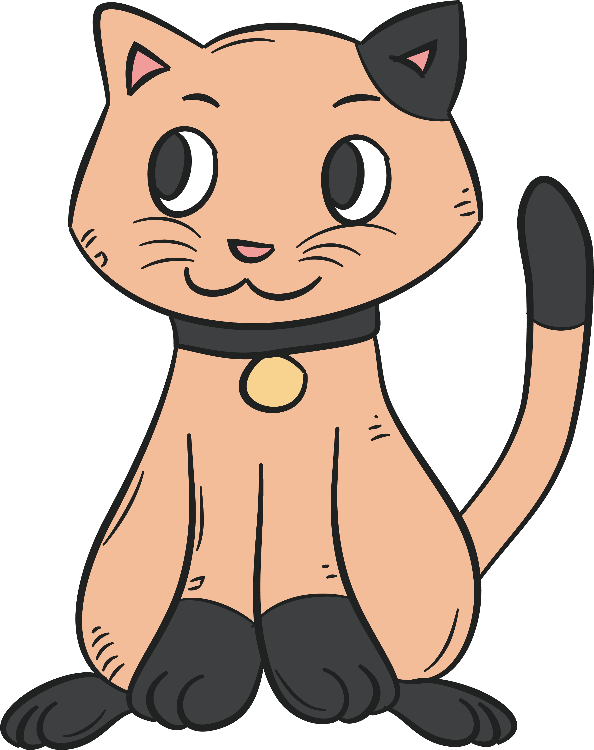 Cute Kitten No Background - Anna Blog