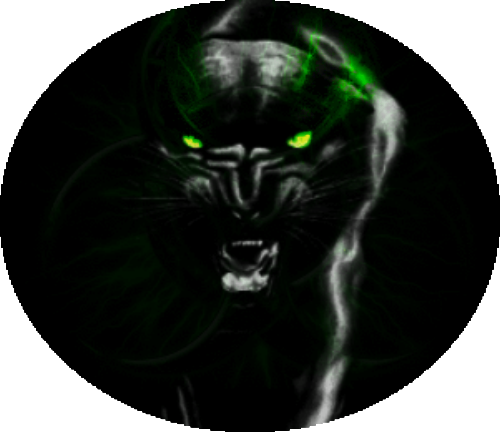 Erebus The Black Panther - Panthers Angry (500x432), Png Download