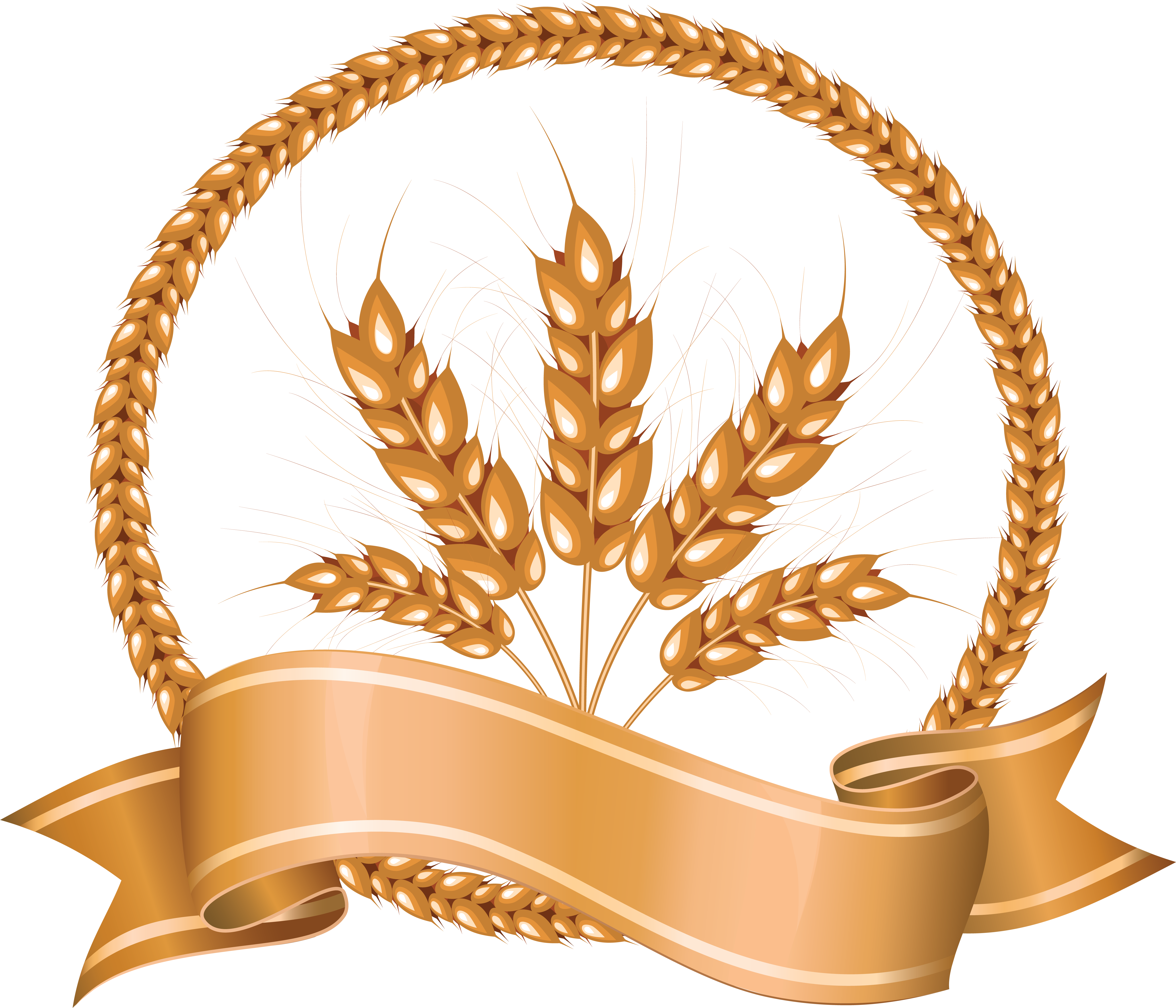 Wheat (5274x4639), Png Download