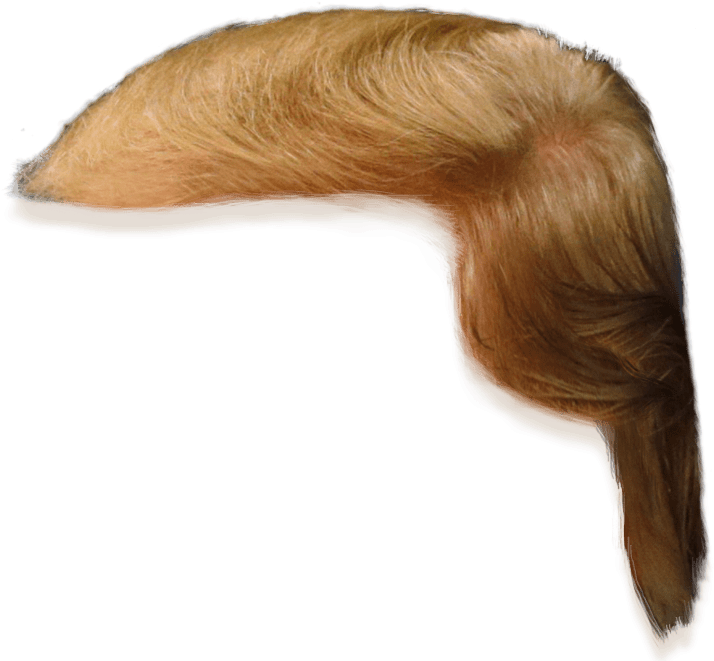 Donald Trump Hair Transparent (736x664), Png Download