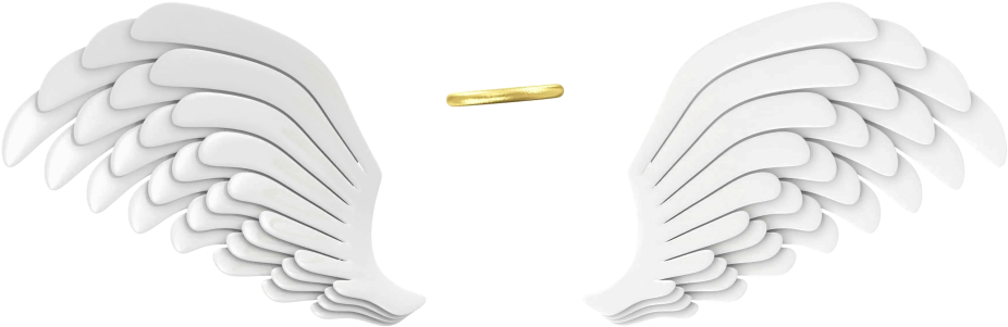 White Wings Png Transparent Image - Portable Network Graphics (1024x576), Png Download