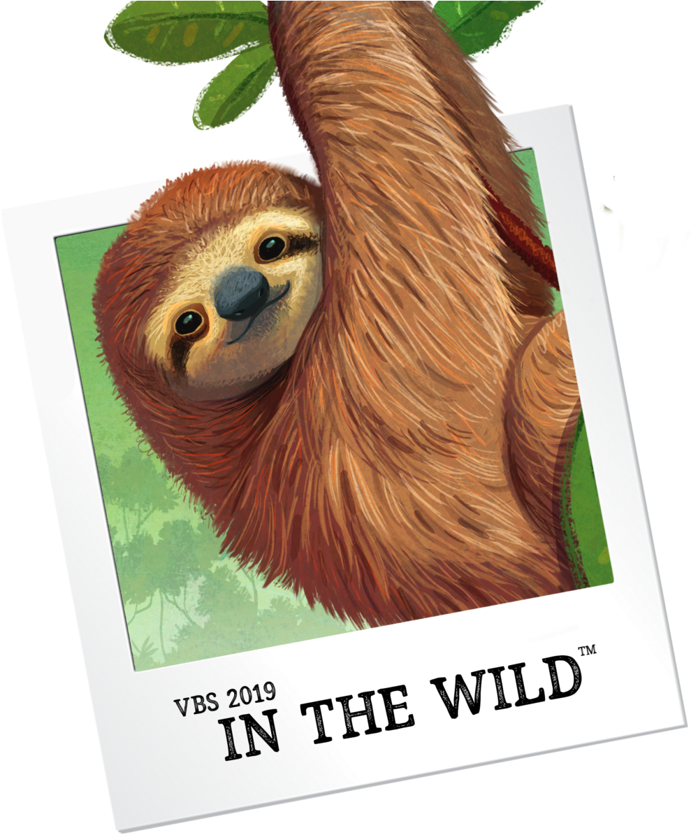 Sloth - Vbs 2019 In The Wild (996x1200), Png Download