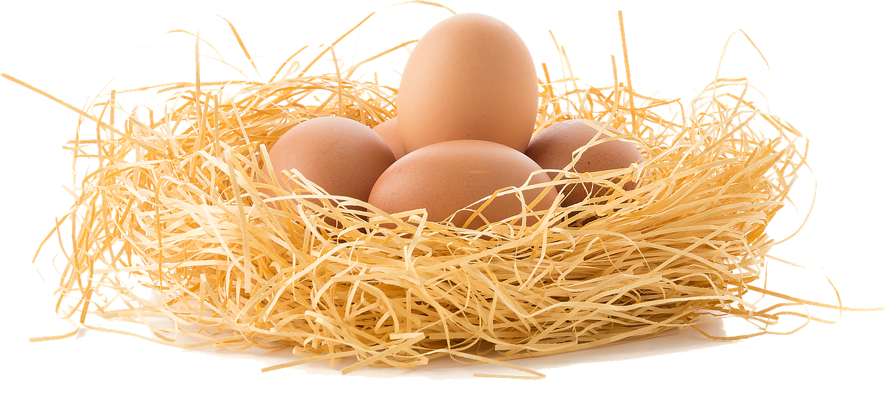 Brown Eggs Png - Eggs In Nest Png (1280x573), Png Download