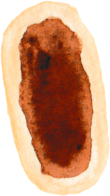 Este Gráficos Es Jam Bread Watercolor Transparent Gourmet - Watercolor Painting (1024x1024), Png Download