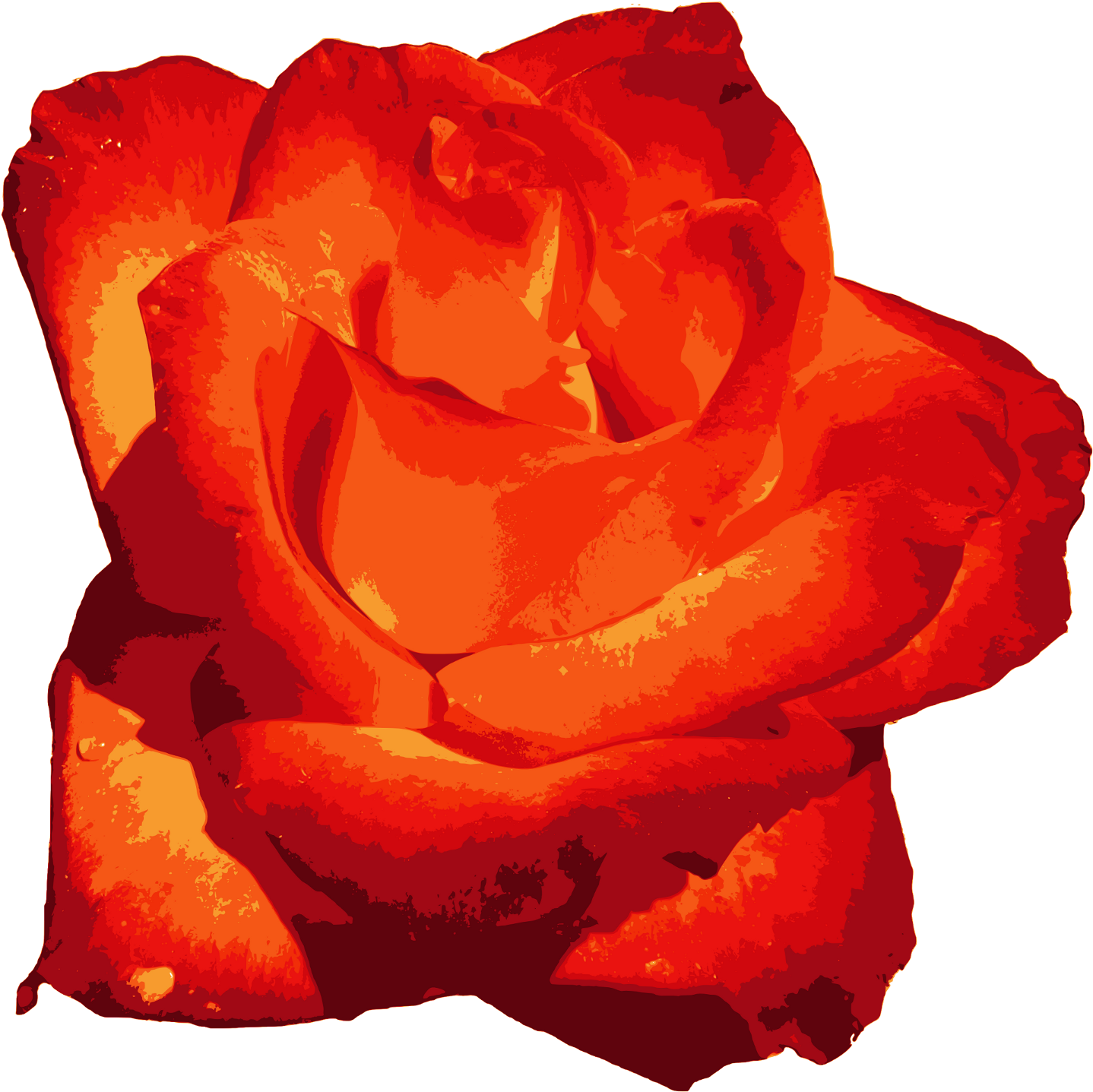 Free Download - Flower (1500x1467), Png Download