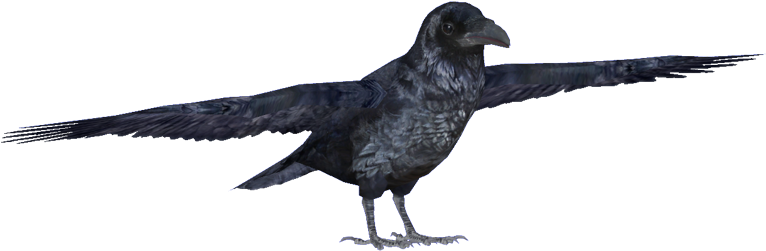 Common Raven (765x765), Png Download