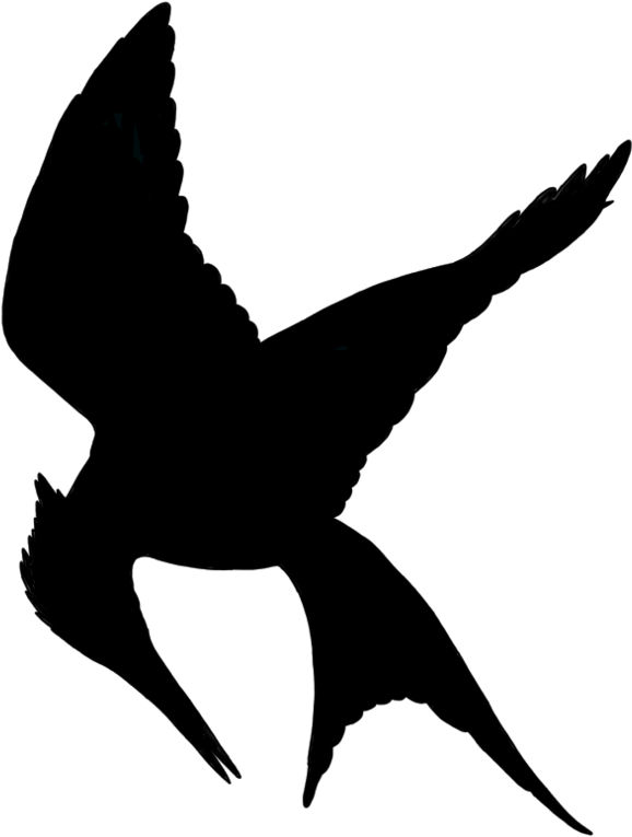 Minimalist Mockingjay By Allheartsgoboom On Deviantart - Mockingjay Symbol Transparent (766x1044), Png Download