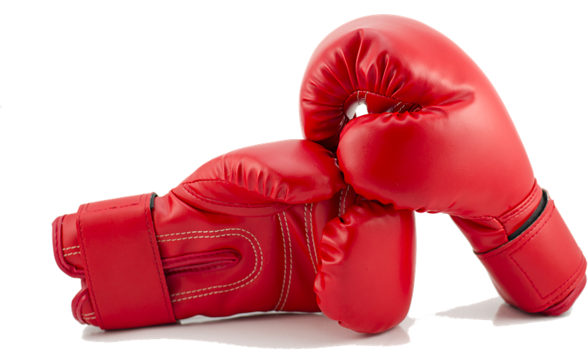 Red Boxing Gloves Png Background Image - Rules For Radicals (900x596), Png Download