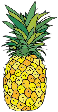 Popular And Trending Pineapple Stickers On Picsart - Pineapple Sticker (399x439), Png Download