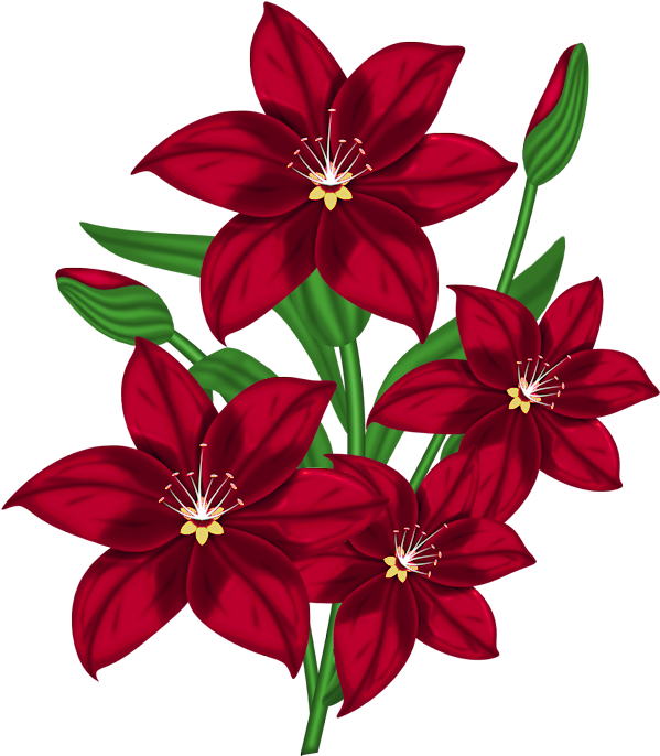 Flower Designs In Chart (629x697), Png Download