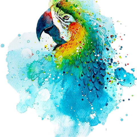Easy Watercolor Animal Painting (480x480), Png Download
