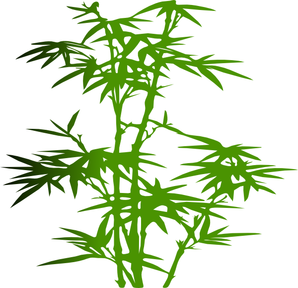How To Set Use Bamboo Clipart (600x579), Png Download