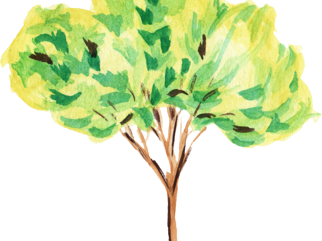 Water Color Clipart Tree - Tree Watercolour Clipart (640x480), Png Download