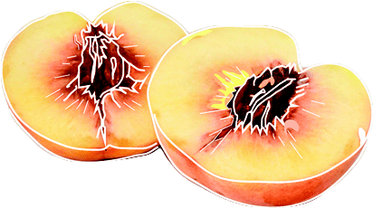 Peach Halves - Fruit Tumblr Png (597x331), Png Download