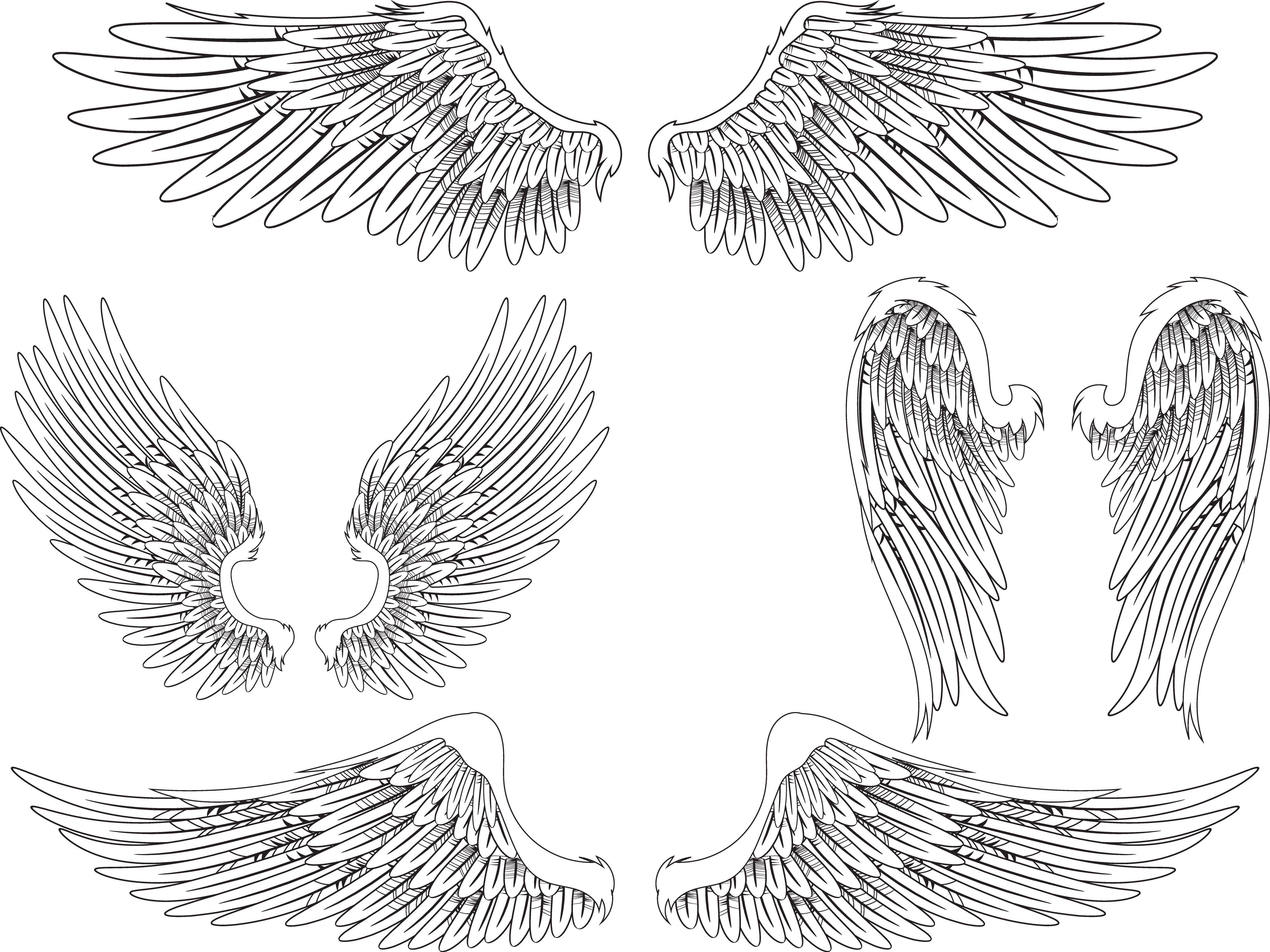 Angel Wing Bird Feather (4785x3587), Png Download