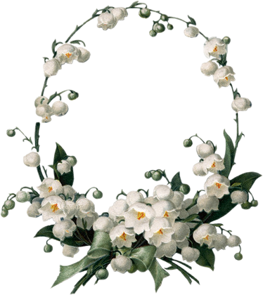 Belle - White Flower Border (374x420), Png Download