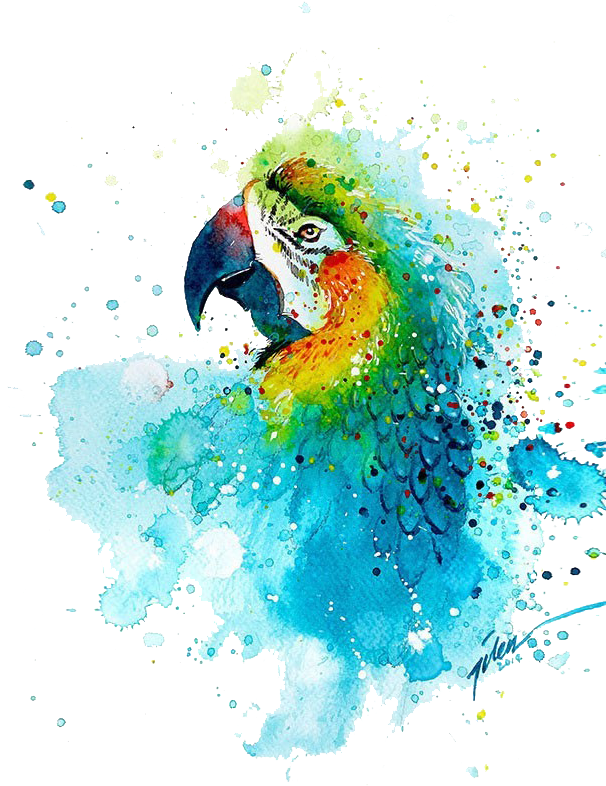 Watercolor Painting Printmaking Parrot - Parrot Watercolor Painting (605x849), Png Download
