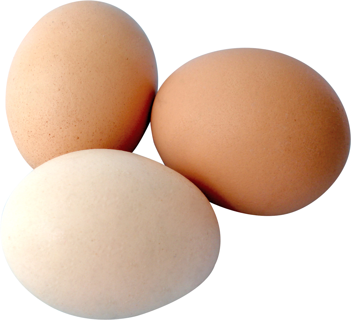 Eggs Png (1650x1502), Png Download