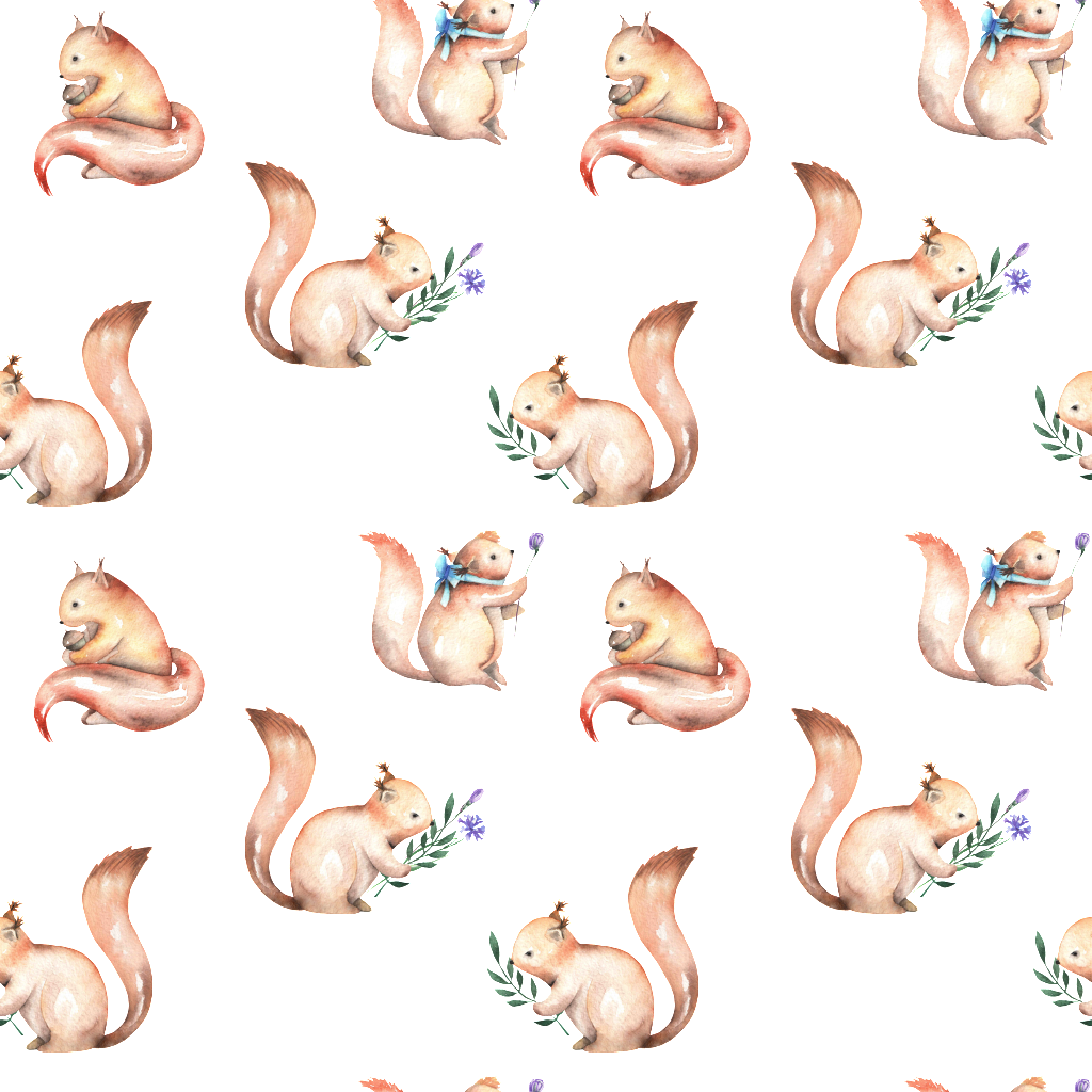 Squirrel (1024x1024), Png Download